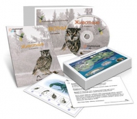 Комбинированное наглядное пособие «Животные» - «globural.ru» - Богородск